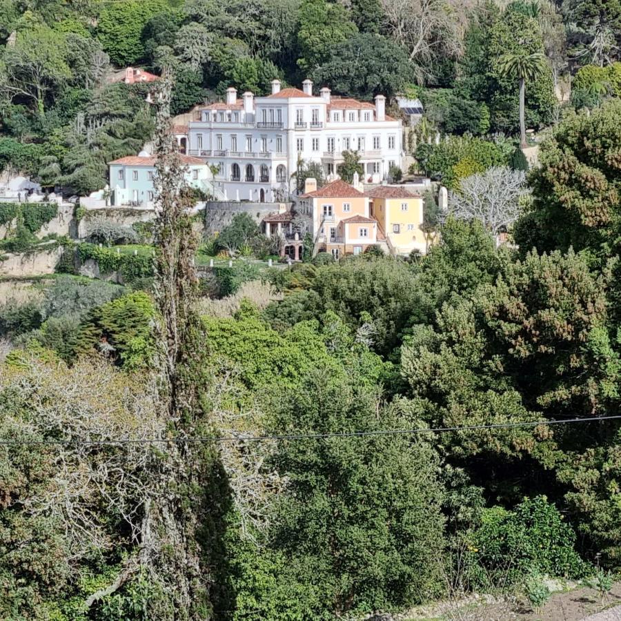 Quinta Da Bella Vista - Historic Home And Farm Sintra Zewnętrze zdjęcie